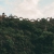 BAI DINH - TRANG AN - MUA CAVE -1 DAY TRIP BY LIMOUSINE