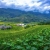 Y LINH HO, LAO CHAI & TA VAN VILLAGES (FROM SAPA – HALF DAY TOUR)