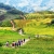 Sapa - Lao Chai - Ta Van - Cat Cat Sapa (FROM SAPA – FULL DAY TOUR)