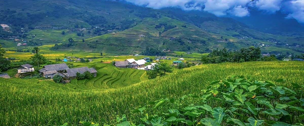 Sapa - Lao Chai - Ta Van - Cat Cat Sapa (FROM SAPA – FULL DAY TOUR)