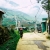 Y LINH HO, LAO CHAI & TA VAN VILLAGES (FROM SAPA – HALF DAY TOUR)