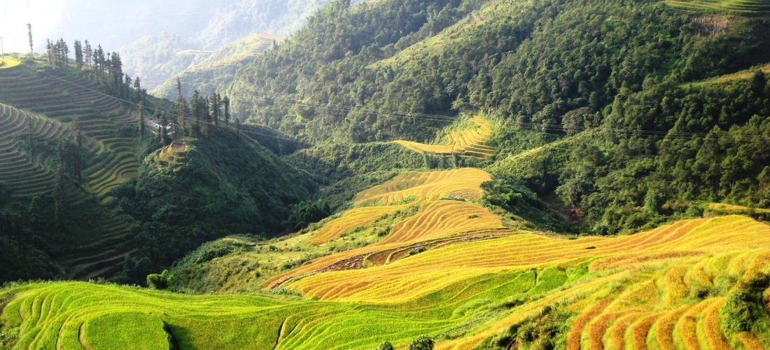 Sapa - Lao Chai - Ta Van - Cat Cat Sapa (FROM SAPA – FULL DAY TOUR)