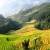 Sapa - Lao Chai - Ta Van - Cat Cat Sapa (FROM SAPA – FULL DAY TOUR)