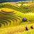 Y LINH HO, LAO CHAI & TA VAN VILLAGES (FROM SAPA – HALF DAY TOUR)