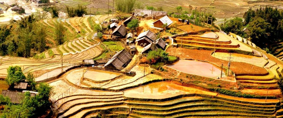 Y LINH HO, LAO CHAI & TA VAN VILLAGES (FROM SAPA – HALF DAY TOUR)