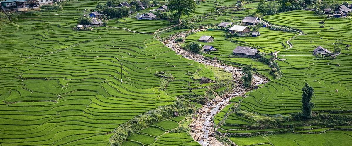 Y LINH HO, LAO CHAI & TA VAN VILLAGES (FROM SAPA – HALF DAY TOUR)