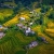 Y LINH HO, LAO CHAI & TA VAN VILLAGES (FROM SAPA – HALF DAY TOUR)