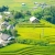Y LINH HO, LAO CHAI & TA VAN VILLAGES (FROM SAPA – HALF DAY TOUR)