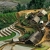 Y LINH HO, LAO CHAI & TA VAN VILLAGES (FROM SAPA – HALF DAY TOUR)