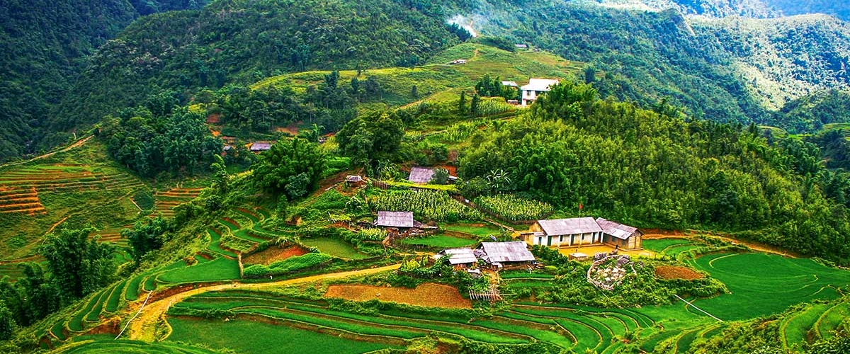Y LINH HO, LAO CHAI & TA VAN VILLAGES (FROM SAPA – HALF DAY TOUR)