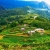 Y LINH HO, LAO CHAI & TA VAN VILLAGES (FROM SAPA – HALF DAY TOUR)