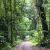 Hanoi Jeep Tour 1 Day Explore Ba Vi National Park