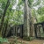 Hanoi Jeep Tour 1 Day Explore Ba Vi National Park